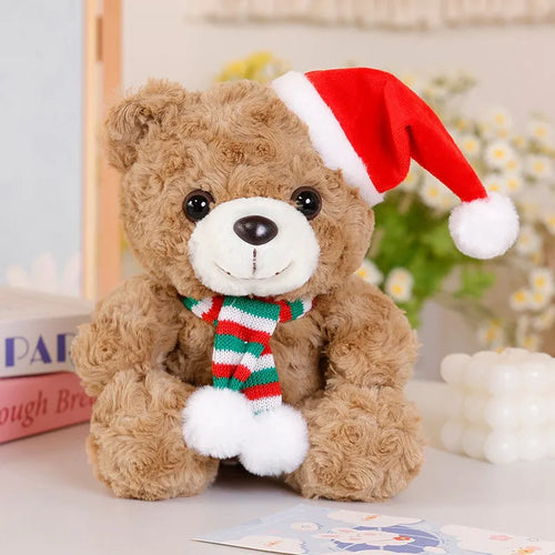  Graduation Bear Plush cashymart