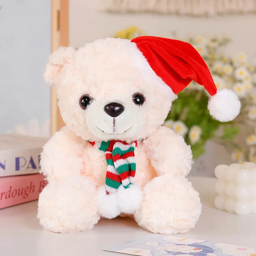  Graduation Bear Plush cashymart