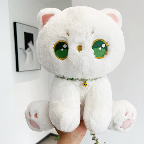  Green Eyes Kitten cashymart