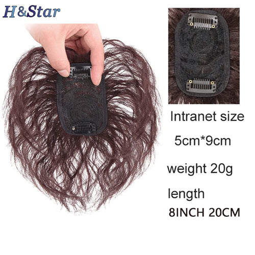  H&STAR 8 Inch Synthetic Clip In Short Curly Hair Extension cashymart