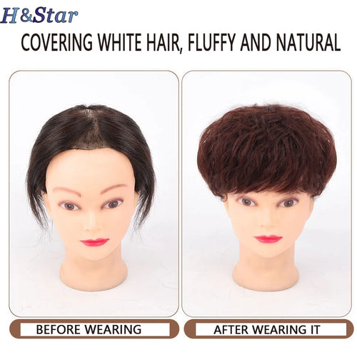  H&STAR 8 Inch Synthetic Clip In Short Curly Hair Extension cashymart