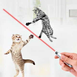  Cool 2-in-1 Laser Pointer & LED Cat Toy cashymart