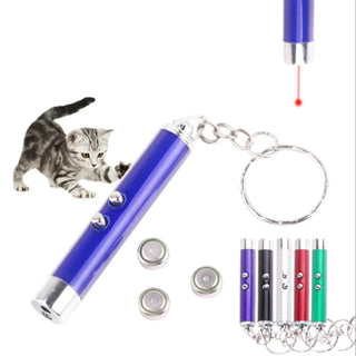  Cool 2-in-1 Laser Pointer & LED Cat Toy cashymart