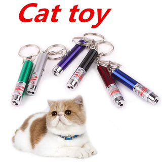  Cool 2-in-1 Laser Pointer & LED Cat Toy cashymart