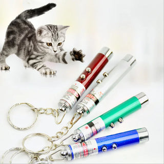  Cool 2-in-1 Laser Pointer & LED Cat Toy cashymart