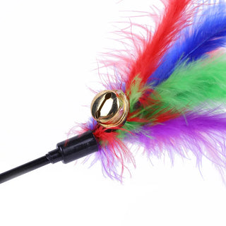  5PCS Interactive Cat Teaser Wands with Bells & Feathers - Random Colors! cashymart