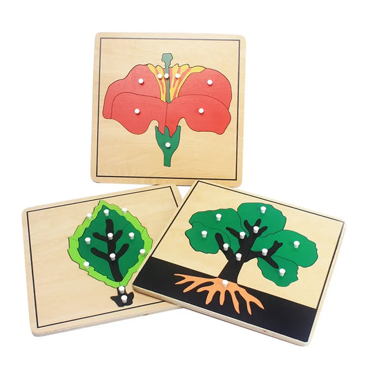  Wooden Plant Growth Puzzle Toy cashymart