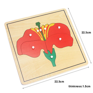  Wooden Plant Growth Puzzle Toy cashymart