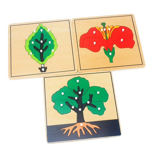  Wooden Plant Growth Puzzle Toy cashymart