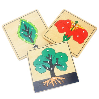  Wooden Plant Growth Puzzle Toy cashymart