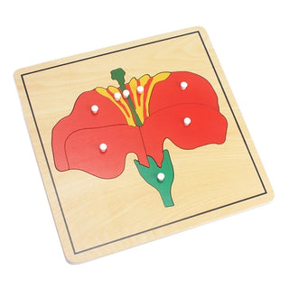  Wooden Plant Growth Puzzle Toy cashymart