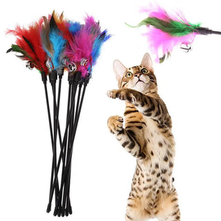  5PCS Interactive Cat Teaser Wands with Bells & Feathers - Random Colors! cashymart