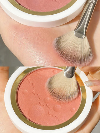  High Gloss Powder Blusher Brush for Novices cashymart