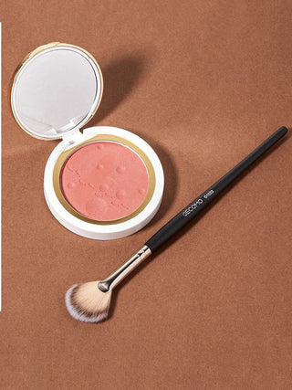  High Gloss Powder Blusher Brush for Novices cashymart