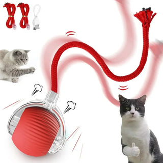  Interactive Automatic Cat Ball Toy cashymart