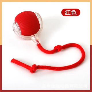  Interactive Automatic Cat Ball Toy cashymart