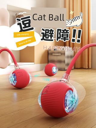  Interactive Automatic Cat Teaser Ball cashymart