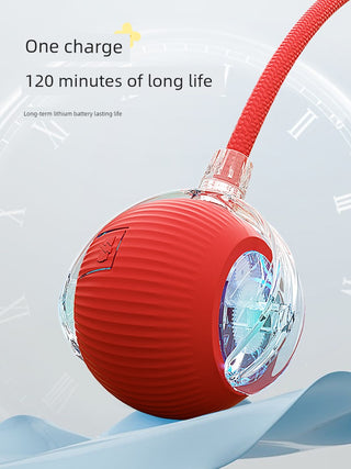  Interactive Automatic Cat Teaser Ball cashymart