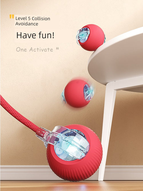  Interactive Automatic Cat Teaser Ball cashymart