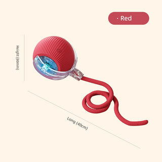  Interactive Automatic Cat Teaser Ball cashymart