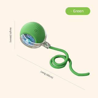  Interactive Automatic Cat Teaser Ball cashymart