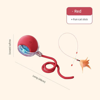  Interactive Automatic Cat Teaser Ball cashymart