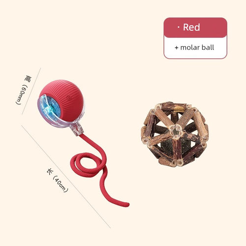  Interactive Automatic Cat Teaser Ball cashymart