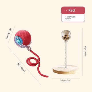 Interactive Automatic Cat Teaser Ball cashymart