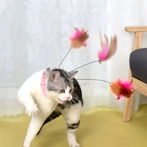  Interactive Cat Teaser Toy cashymart
