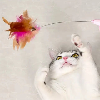  Interactive Cat Teaser Toy cashymart
