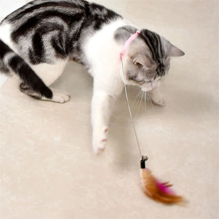  Interactive Cat Teaser Toy cashymart
