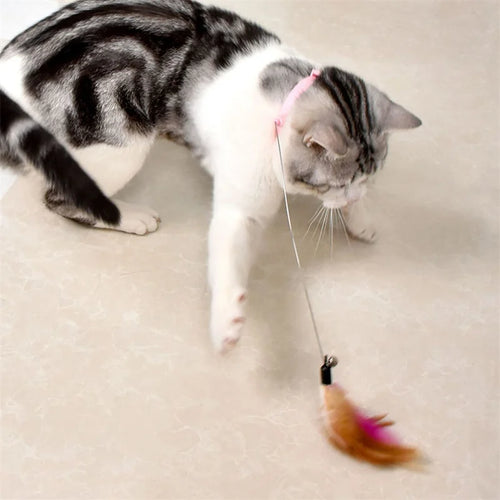  Interactive Cat Teaser Toy cashymart