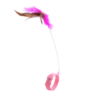  Interactive Cat Teaser Toy cashymart