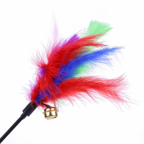  Interactive Cat Teaser Wands cashymart