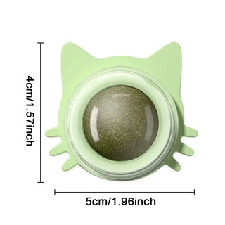 Interactive Catnip Wall Ball Toy cashymart