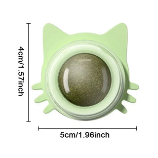  Interactive Catnip Wall Ball Toy cashymart