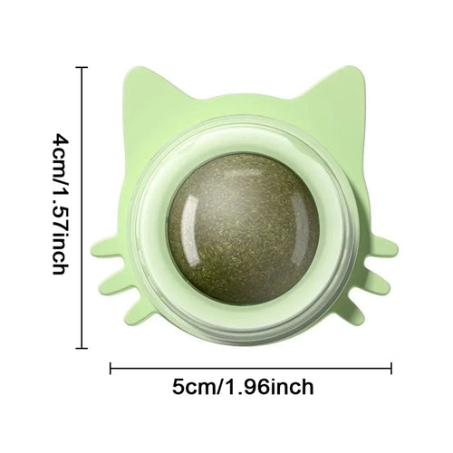  Interactive Catnip Wall Ball Toy cashymart