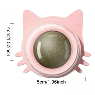  Interactive Catnip Wall Ball Toy cashymart