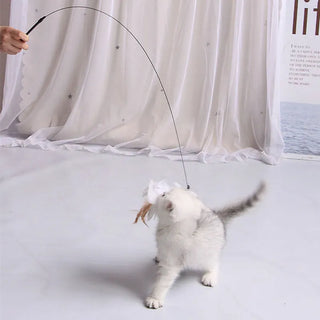  Interactive Feather Teaser Toy cashymart