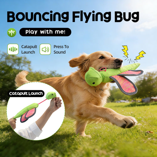  Interactive Flying Dog Toy cashymart