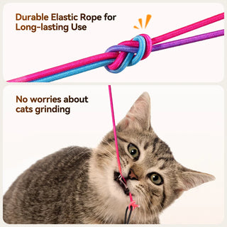 Interactive LED Cat Toy cashymart