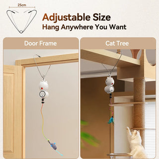  Interactive LED Cat Toy cashymart