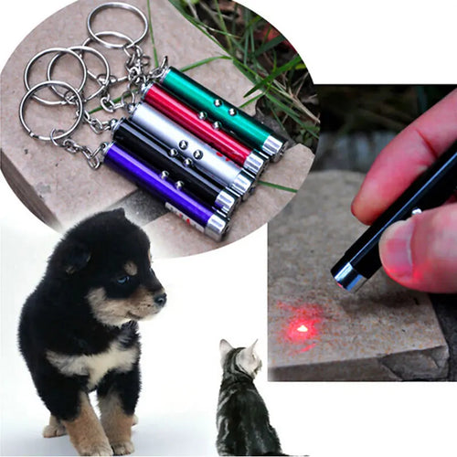  Interactive LED Laser Pointer Toys for Cats cashymart