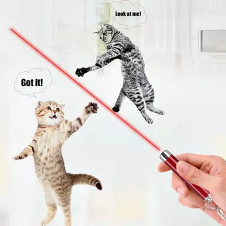  Interactive Laser Pointer Toy for Cats cashymart