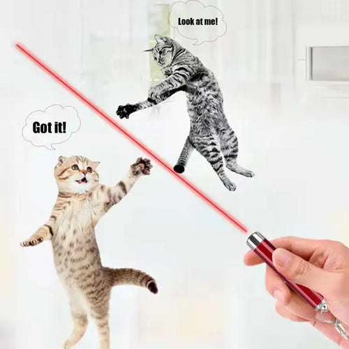  Interactive Laser Pointer Toy for Cats cashymart