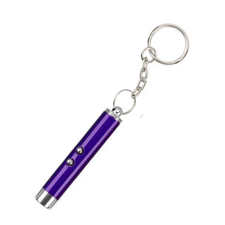  Interactive Laser Pointer Toy for Cats cashymart