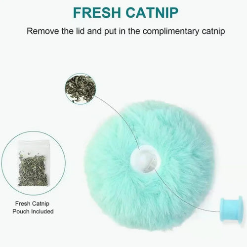  Interactive Plush Cat Toy Ball cashymart