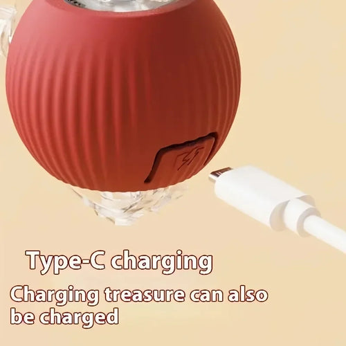  Interactive Rechargeable Cat Ball Toy cashymart