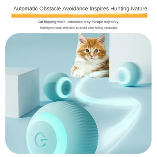  Interactive Rechargeable Cat Ball Toy cashymart