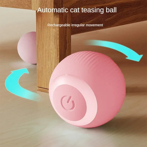  Interactive Rechargeable Cat Ball Toy cashymart